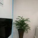 가나화원 이미지