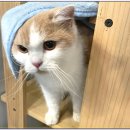 아이조아요양보호소 대구점 이미지