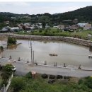 화순토지공인중개사사무소 이미지