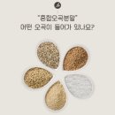 오곡 구성 네이버블로그
