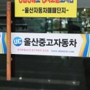 나인모터스 이미지