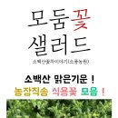 소백산꽃차이야기(소풍농원)