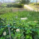 거제해맞이역 이미지