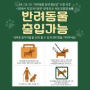 안양 범계역 애견동반 가능한 술집 '술풀' 범계 한식주점 추천!