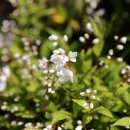 부산시민공원 숲속북카페 이미지