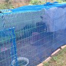 미진숯불갈비 이미지