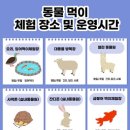 쥬쥬랜드 이미지