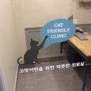 착한동물병원 이미지