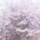 H9170 이미지