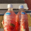 만들리식품 | 유산균음료! 덴마크드링킹 포스트바이오틱스, 더그레잇티 콤부차, 락토조이 S 스파클링