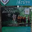 이*오 - 미추홀구 낙섬동로 135 | 랏차부리 오포이 시장 후기｜방콕 근교 친환경 새벽시장 스님 탁발 볼 수 있는 곳