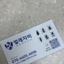 자비의집 | 바선생 출몰ㄷㄷ방역 실시ㅠ 내돈내산 벌레자비 이용 후기