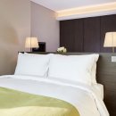 나인트리프리미어호텔 명동2 이미지