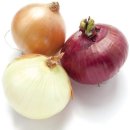 피트니언스 이미지