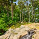 장성호국민관광지 | 전라남도 장성 가볼만한곳, 장성호 수변길 옐로우 출렁다리 여행 : 걷기좋은길, 장성댐 관광지