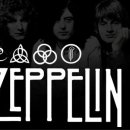 HEAVEN DOG 이미지