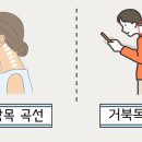 숲마취통증의학과재활의학과의원 이미지