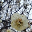 화개농장 이미지