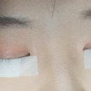 엘속눈썹 이미지