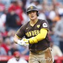 에이시엔코리아 이미지