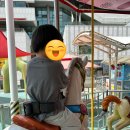 놀라바 | 남양주 아이랑 놀만한 곳, 라바파크 평일 후기(+주차)