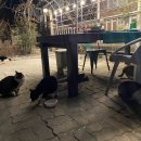 플로렌스펜션 이미지