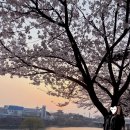 우리나현유치원 네이버블로그