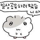 레빗코인노래연습장 이미지