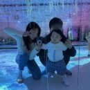 고성 | 아이 데리고 가기좋은 2025년 고성 공룡엑스포 후기