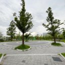 장성근린공원 이미지