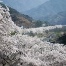 문화를사랑하는정읍사람들