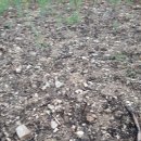 덕산면043 이미지