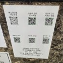 에스더 | [피부과] 에스더의원 표피낭종 수술 후기 – 수원에서 가장 빠르고 간편하게 해결한 경험