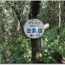 한백주 Daum카페