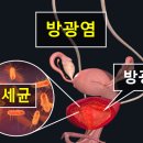 하이닥터