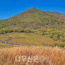 북부유전자 이미지