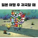 북극곰 로라 | 도쿄 하울