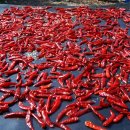 명품보쌈 이미지