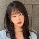 에이보