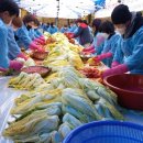 버슘머트리얼즈코리아(주) 이미지