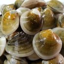 트라토리아브로도 네이버블로그