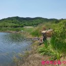 황산제 이미지