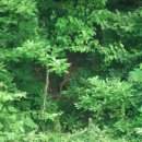 숲속나라어린이집 이미지