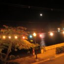 리코바이오 이미지