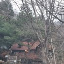 꿈꾸는숲민박 이미지