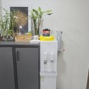 우리동네힐링샵 감삼점 | 대구서구마사지 밝은세상안마원 감삼역점에서 국가공인 시각장애인 안마 받고 온 후기
