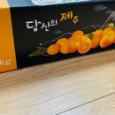 어디에서 왔니 이미지