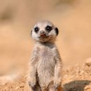 서산행정사사무소 이미지