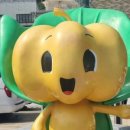 울진 제일약국 이미지