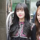 공주와 양이 이미지